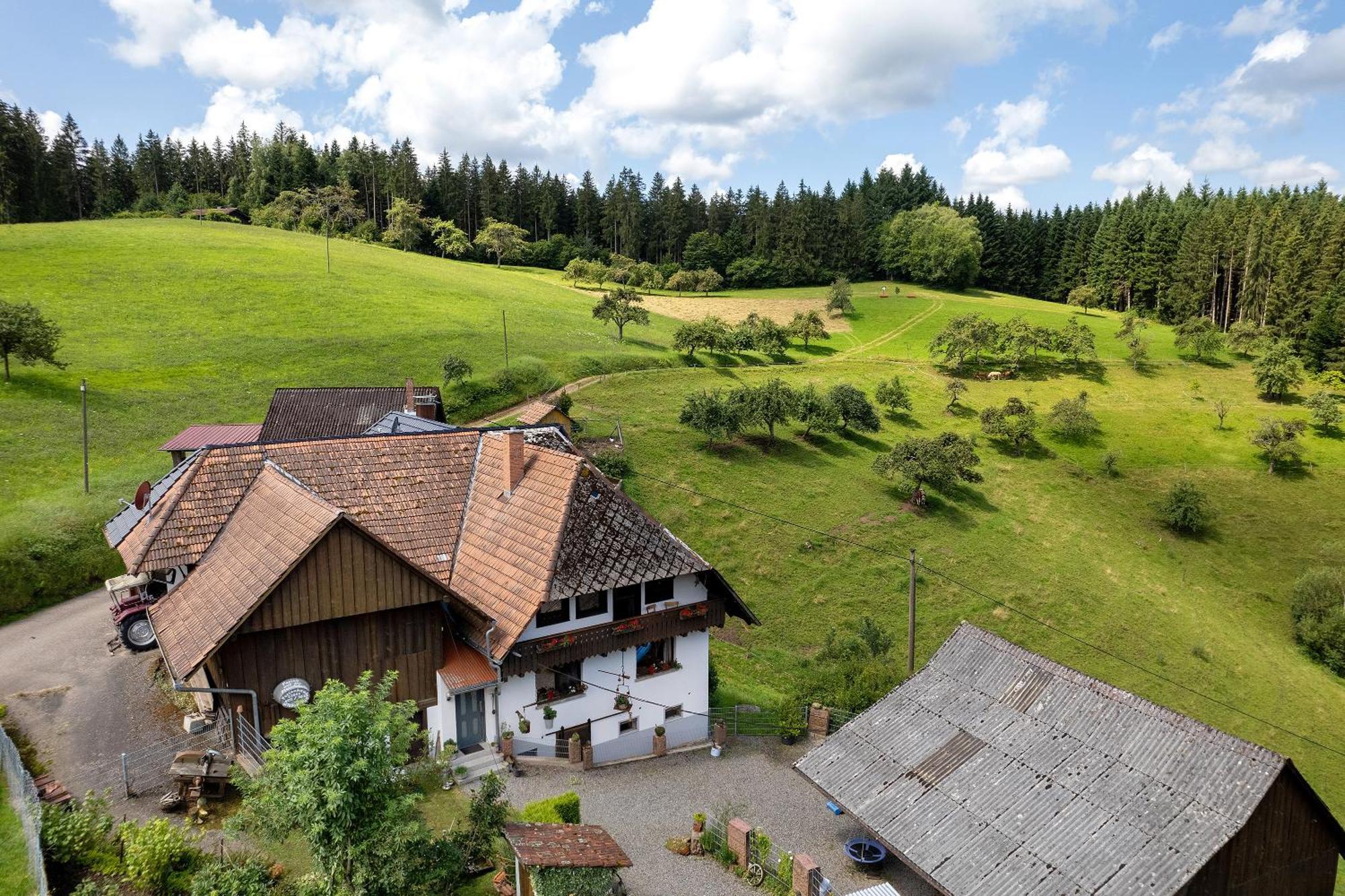 Ferien Auf Der Fleischdielte Muehlenbach Bagian luar foto